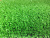 GP-00051135 GP-00051135