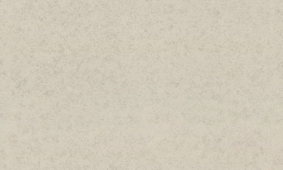 7347-23-раппорт