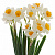 04ae2337264ace0a76e9f74aacaf8a4b