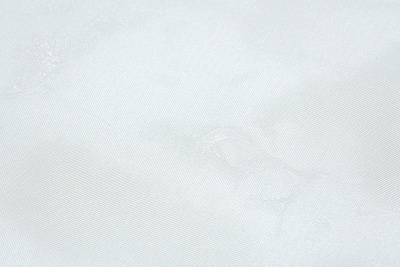 11421-01 Паулина-уни (2)