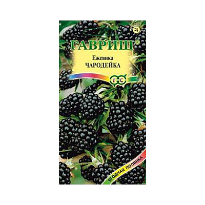 Ежевика Чародейка 10 шт