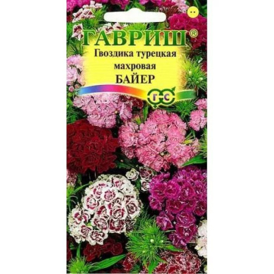 Изображение загружено