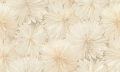 8090-01-раппорт