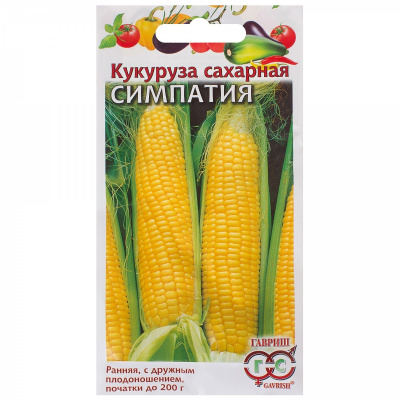 Изображение загружено