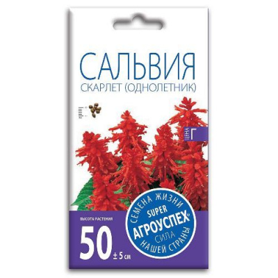 Изображение загружено