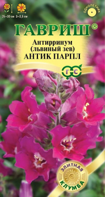 Изображение загружено