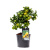 B050648_0000319322_H_1 B050648_0000319322_H_1