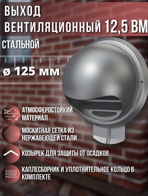 Выход стенной ВМ с фланцем, каплесборником, сетка нерж.сталь D125