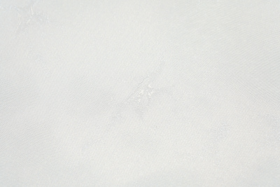 11421-05 Паулина-уни (2)