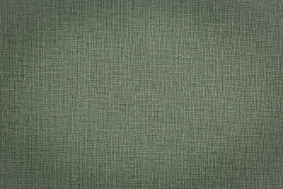 CAT_MACRO_PHOTOvI_TC72460-77_(2)