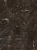 GP-00061904