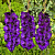 700 - 2026-02-18T114933.678