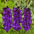 700 - 2026-02-18T114933.678