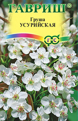 Груша Уссурийская 0,3 г Н16