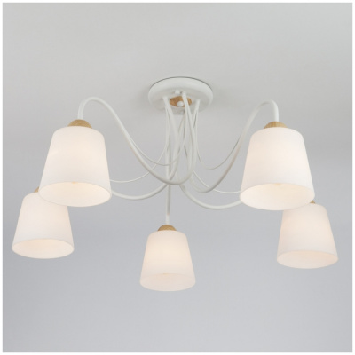 Изображение загружено