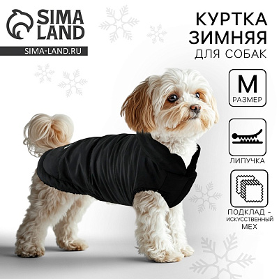 Куртка зимняя черный цвет размер M