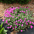 agroteksgeo_2.2-min-756x756-585