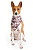 700(1)