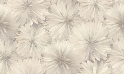 8090-11-раппорт