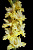 4785ab4bfcaa11e980dd0cc47a28e351_5167e56afcaa11e980dd0cc47a28e351.resize1
