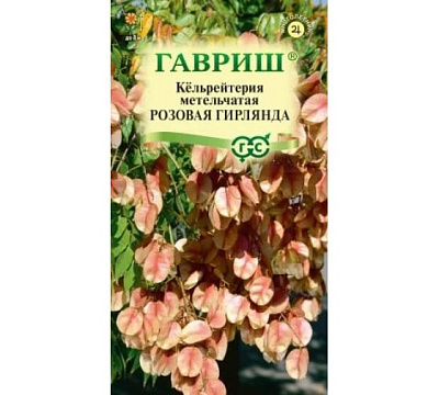 Кёльрейтерия Розовая гирлянда, метельчатая 10 шт. Н21