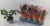 B008199_0000297727_H_1