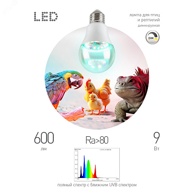 Лампа для птиц и рептилий ЭРА Chicken с UVB спектром FITO,Dim 9W E27