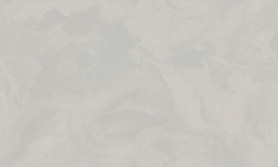 7289-11-раппорт