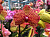 B112591_0000310404_H_1