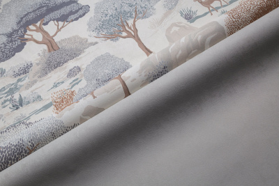 Img_HC72580-16 HC72581-14 (2)