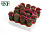 B105893_0000333049_H_1