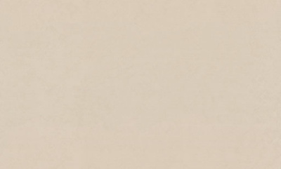 7344-12-раппорт