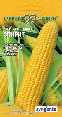 Изображение загружено