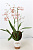 B008248_0000339549_V_1