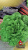 16wiux1dxagyr0exss6bw4b6jzjdv0ng