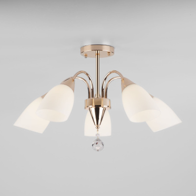 Изображение загружено