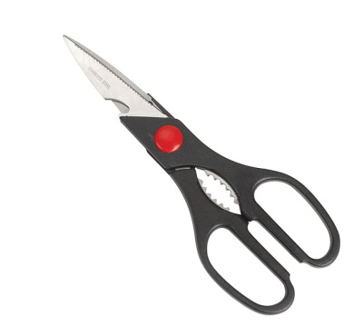 Изображение загружено