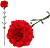 of52a76b6-0592-11f1-8f01-74563c0e8674