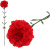 of52a76b6-0592-11f1-8f01-74563c0e8674
