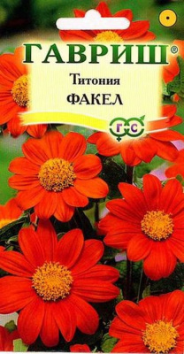 Изображение загружено