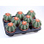 B113731_0000311749_H_1