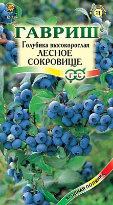 Голубика высокорослая Лесное сокровище 30 шт