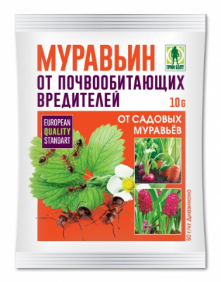 Изображение загружено