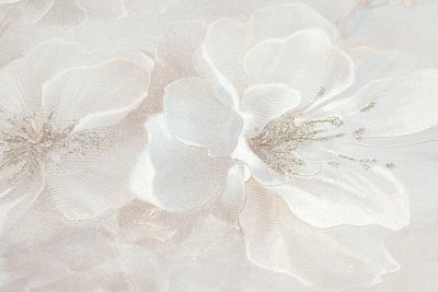 11420-02 Паулина (2)