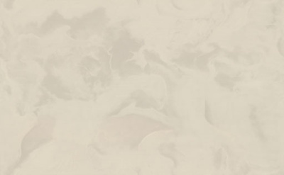 7289-02-раппорт