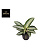 B128685_0000227426_H_1