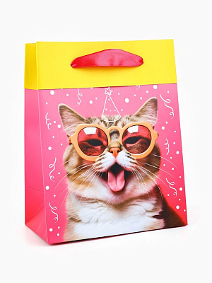 Пакет ламинированный двухсторонний «Котик», MS 18 × 23 × 10 см     