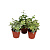 B009849_0000262762_H_1