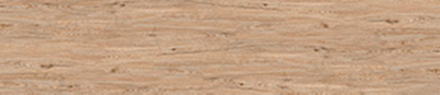 GP-00064601