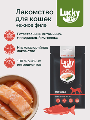 Лакомство для кошек Lucky bits нежное филе горбуши приготовленное на пару 25 гр